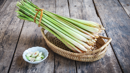 Is Lemongrass a Mosquito Repellent?